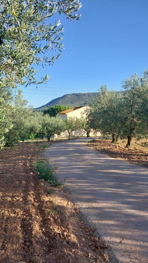 Casa Rural Cal Marti El Pla de Manlleu Экстерьер фото