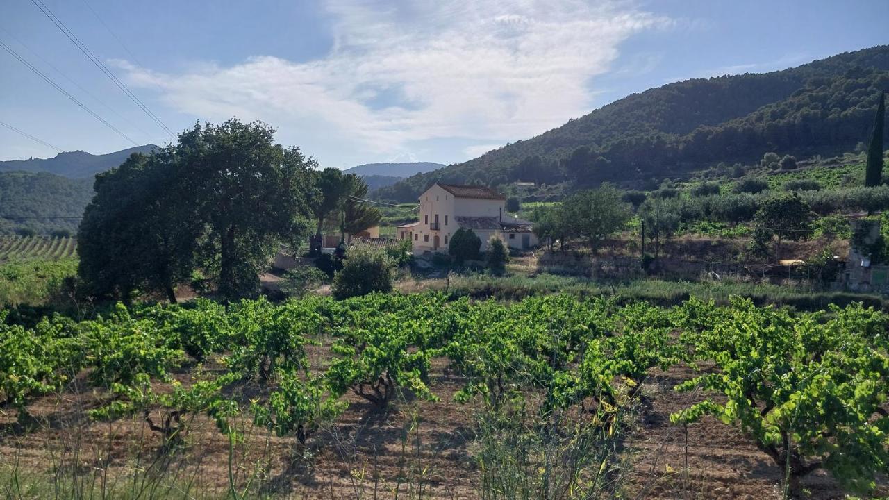 Casa Rural Cal Marti El Pla de Manlleu Экстерьер фото