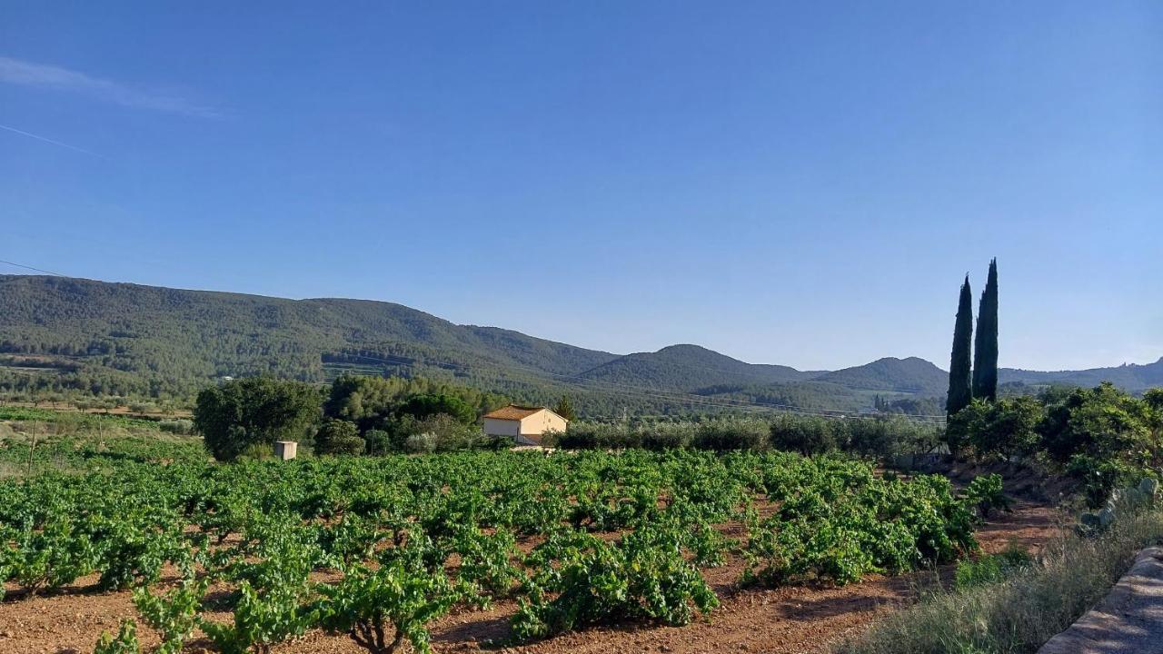 Casa Rural Cal Marti El Pla de Manlleu Экстерьер фото