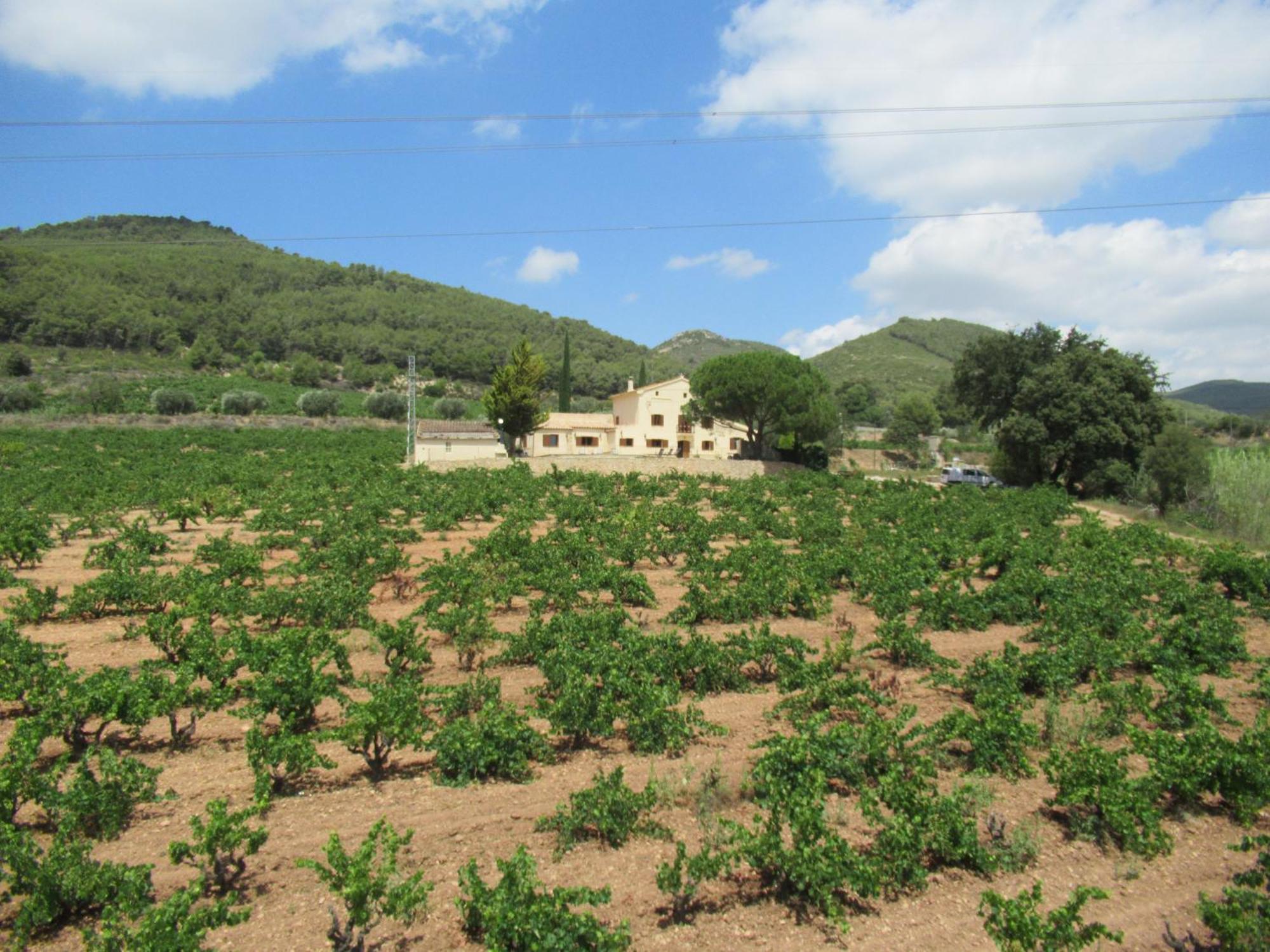 Casa Rural Cal Marti El Pla de Manlleu Экстерьер фото