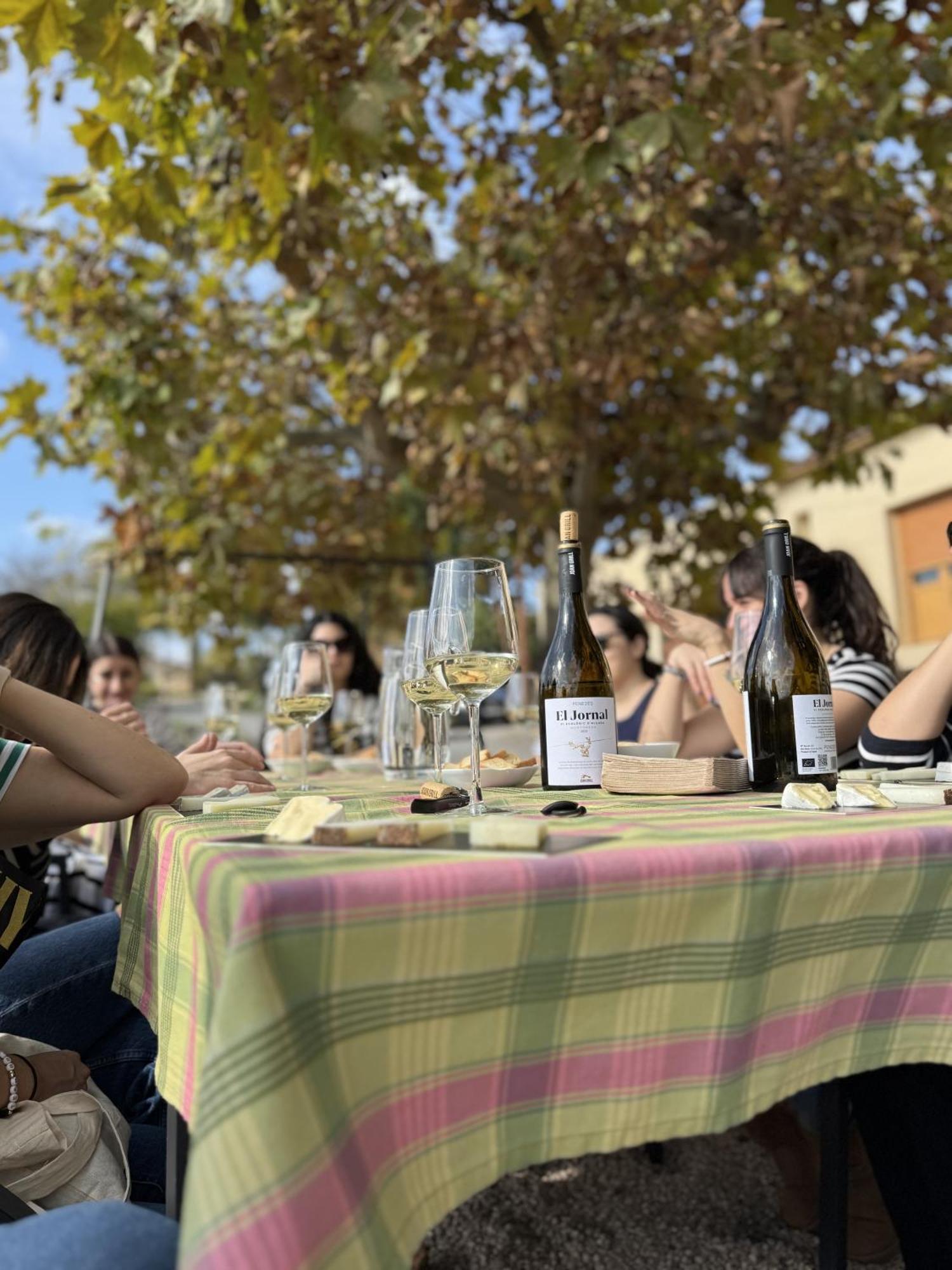 Casa Rural Cal Marti El Pla de Manlleu Экстерьер фото
